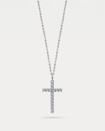 Load image into Gallery viewer, Love&#39;s Final Act Necklace

