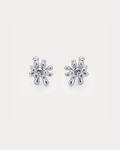 SHILOH BLOOM STUDS